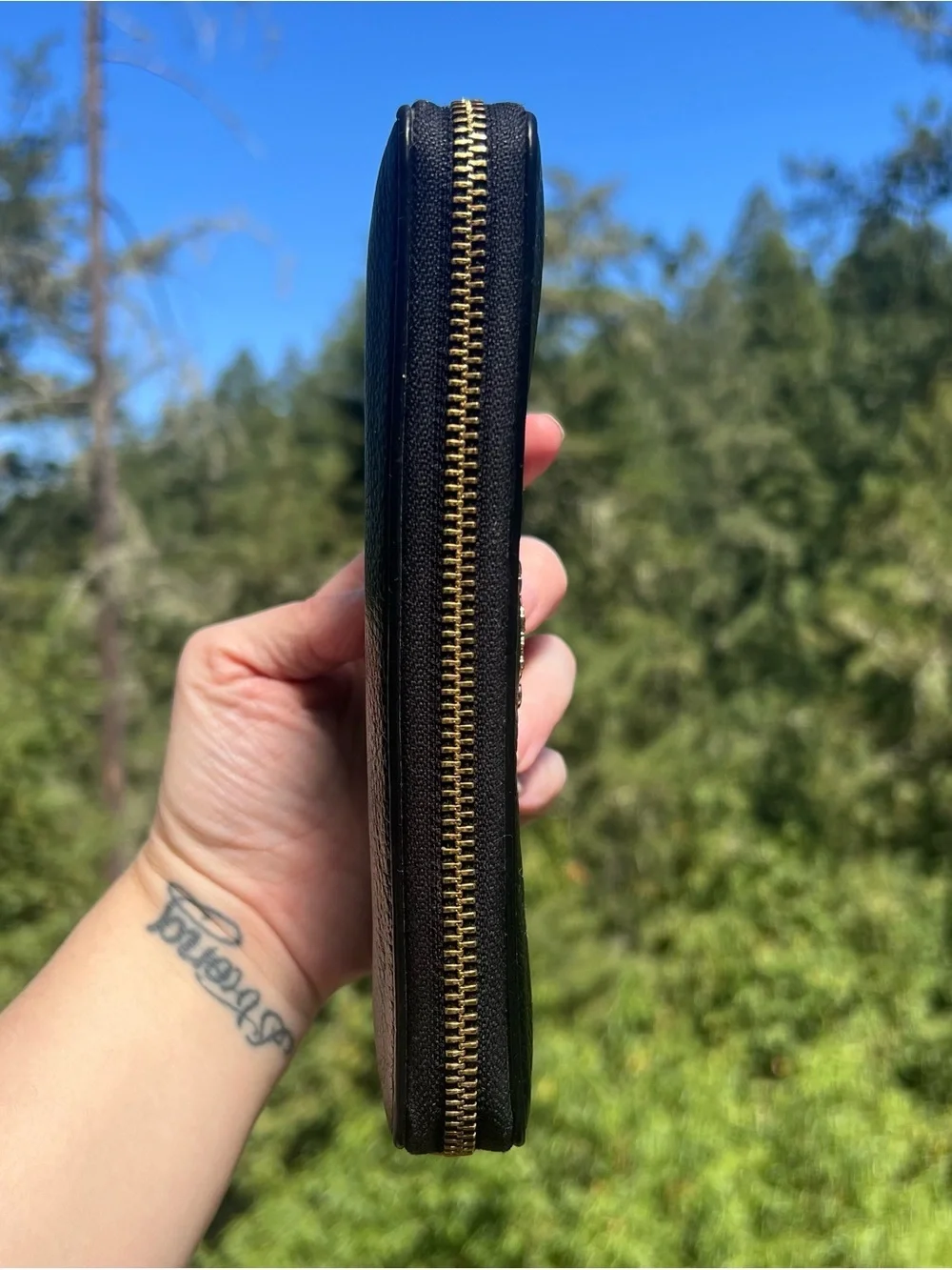 Coach accordion zip